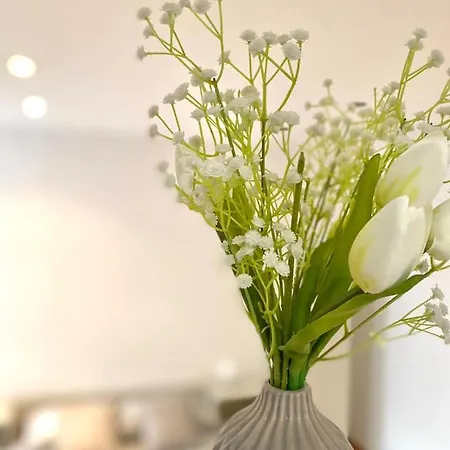 M's Residences Muzio Appartement