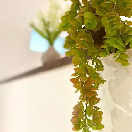 M's Residences Muzio