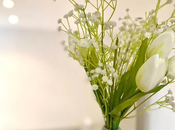 M's Residences Muzio Апартаменты